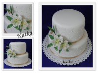 /album/kvetinove/naposledy-aktualizovane304-jpg2/